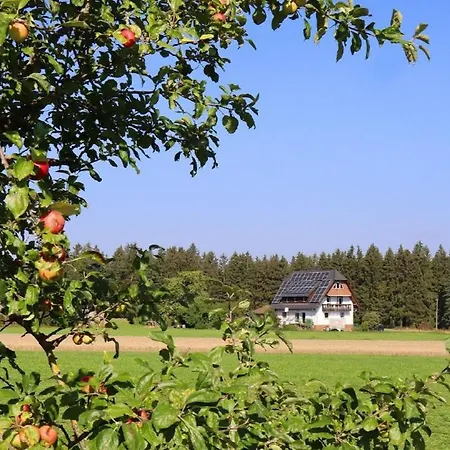 Beim Falkner, 60qm Lägenhet